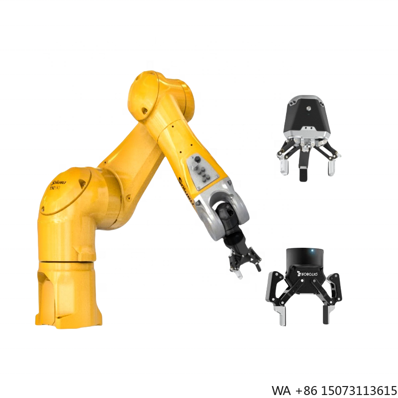 Robot industriel 6 axes flamba - Robot Gripper avis et prix